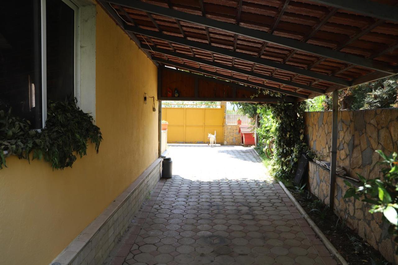 Raisa Guesthouse 12 ベラト エクステリア 写真